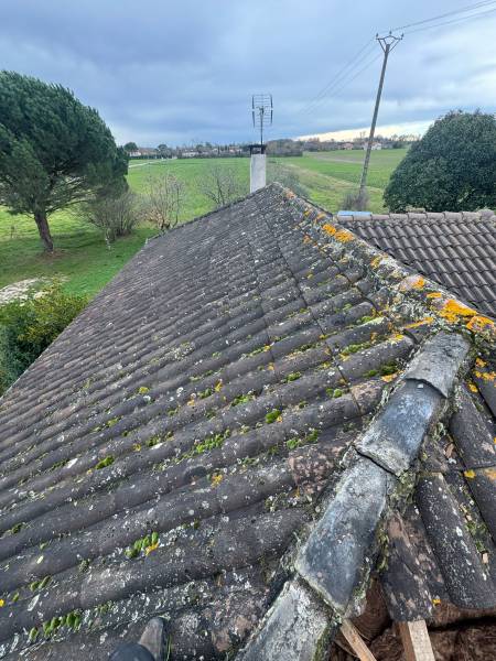 Vue de l'ancienne toiture avant notre intervention. les 2 charpentiers a Roquesérière proche d'Albi. 